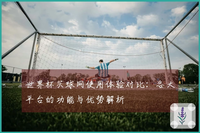 世界杯买球网使用体验对比：各大平台的功能与优势解析