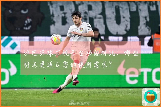 沙巴买球正规平台功能对比：哪些特点更适合您的使用需求？